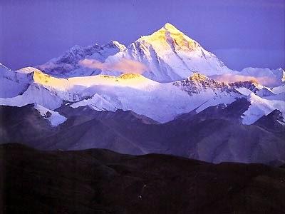 Humans Create Another Pile of Shit Humans Create Another Pile of Shit