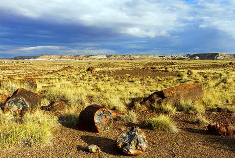 ARIZONA WHIRLWIND, Part 1: Portal, Petrified Forest, and Painted Desert, Guest Post by Owen Floody