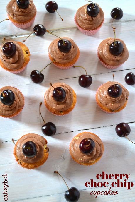 cherry choc chip cupcakes cherry choc chip cupcakes