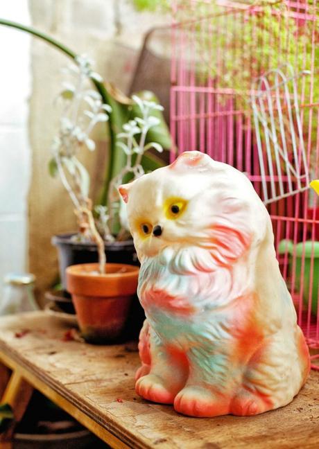 This is the art- now see this Australian home! cat