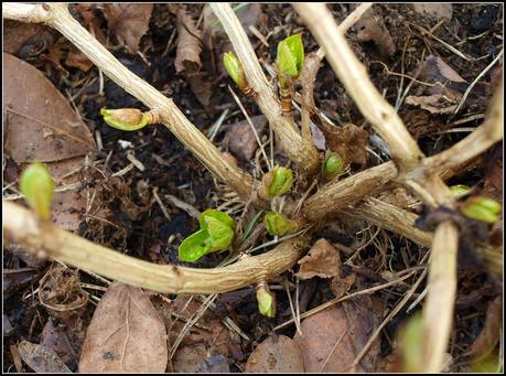 Tidying-up the pots. Tidying-up the pots.