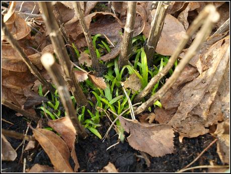 Tidying-up the pots. Tidying-up the pots.