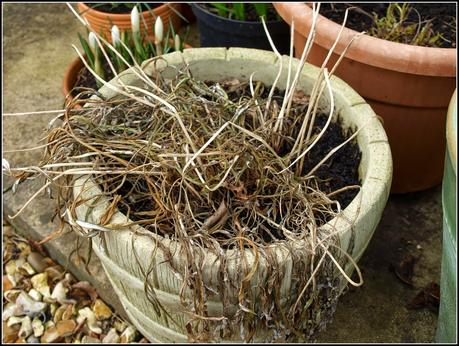 Tidying-up the pots. Tidying-up the pots.
