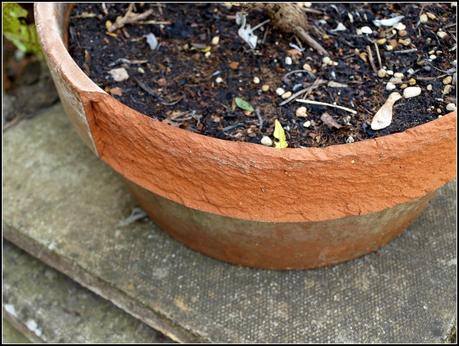Tidying-up the pots. Tidying-up the pots.