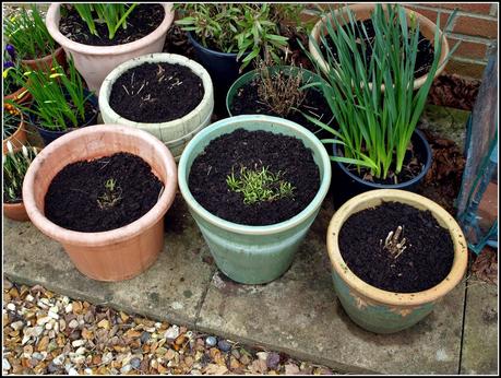 Tidying-up the pots. Tidying-up the pots.