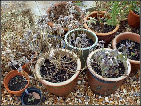 Tidying-up the pots. Tidying-up the pots.
