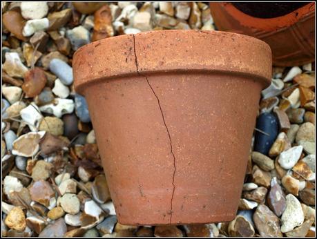 Tidying-up the pots. Tidying-up the pots.