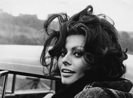 Sophia Loren TCMFF 2015