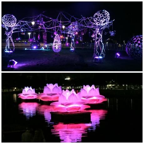 A Day Out in Melbourne white night yarra