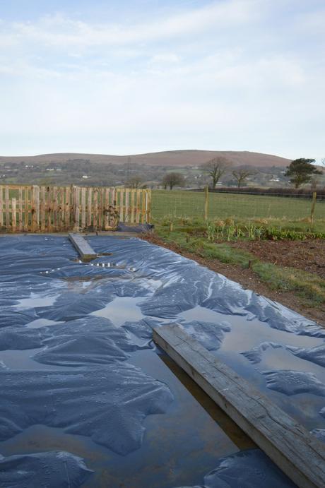 A Simple Plan for Our New Allotment Plot – Part 1