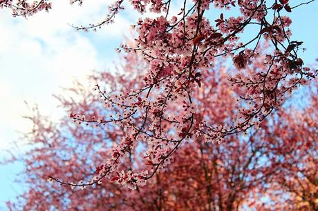 The Gap Tee The Gap Tee