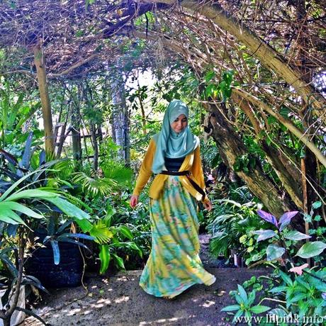 Garden Faerie Garden Faerie