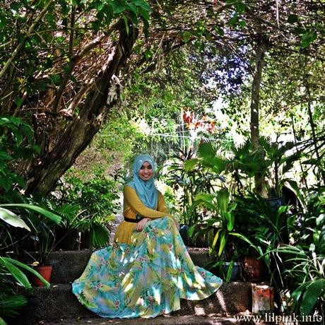 Garden Faerie Garden Faerie