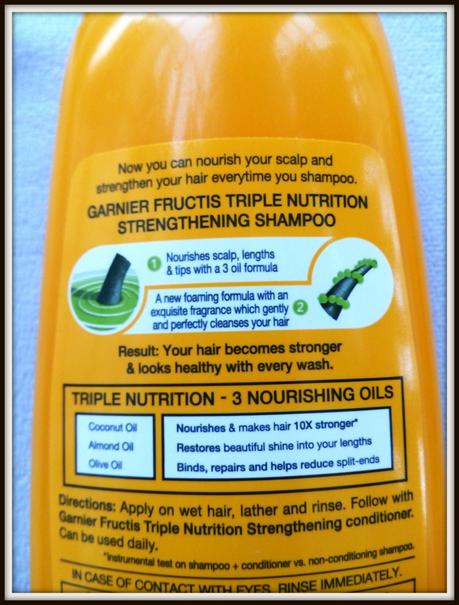 Garnier Fructis Triple Nutrition Shampoo and Conditioner Review Garnier Fructis Triple Nutrition Shampoo and Conditioner Review