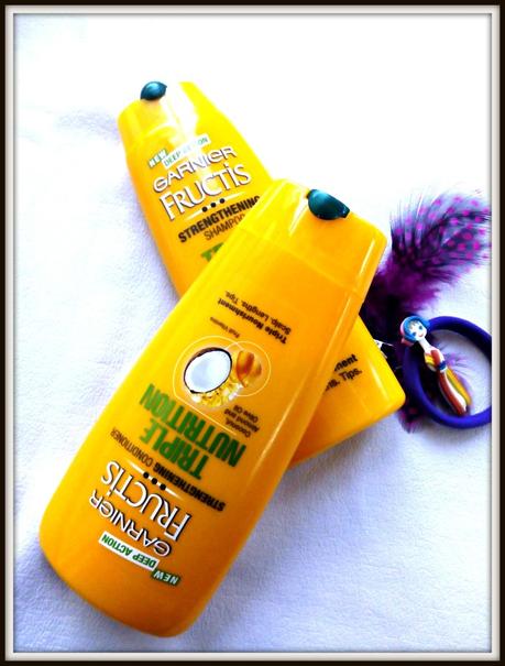 Garnier Fructis Triple Nutrition Shampoo and Conditioner Review Garnier Fructis Triple Nutrition Shampoo and Conditioner