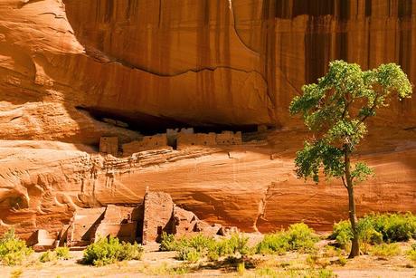 ARIZONA WHIRLWIND, Part 2: Canyon de Chelly and Monument Valley, Guest Post by Owen Floody
