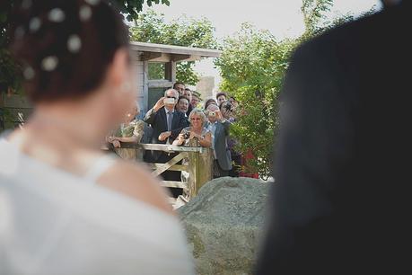 Steve & Jan’s Portland Castle Wedding portland castle wedding photographers_0036