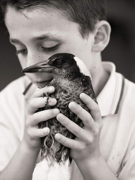 Rescued Magpie Becomes Lifelong Friend with the Family Who Saved Her Life penguin-magpie-rescue-friendship-bloom-family-australia-1