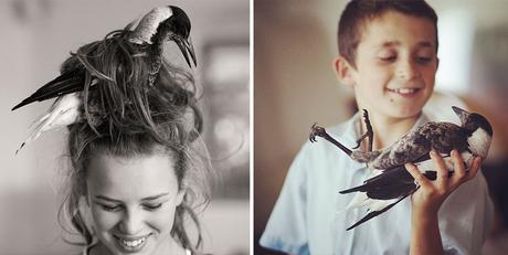 Rescued Magpie Becomes Lifelong Friend with the Family Who Saved Her Life penguin-magpie-rescue-friendship-bloom-family-australia-26
