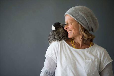 Rescued Magpie Becomes Lifelong Friend with the Family Who Saved Her Life penguin-magpie-rescue-friendship-bloom-family-australia-19