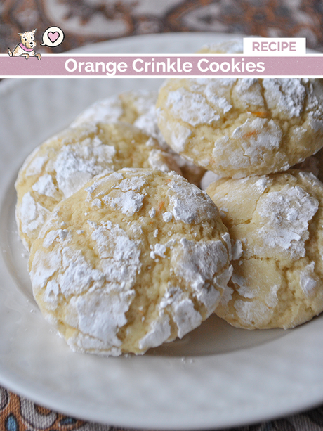 orange crinkle cookies recipe