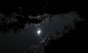 Partial eclipse in a muddy under-exposed puddle (Bad photo by Amanda Scott!)