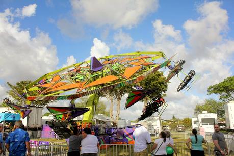 Fun at the Fair Fun at the Fair
