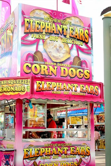 Fun at the Fair Fun at the Fair