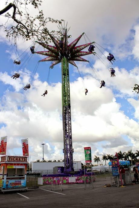 Fun at the Fair Fun at the Fair