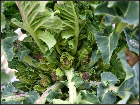 PSB update PSB update