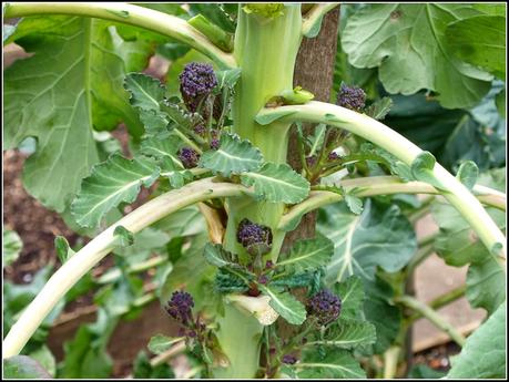 PSB update PSB update