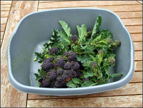 PSB update PSB update