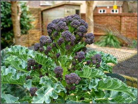 PSB update PSB update