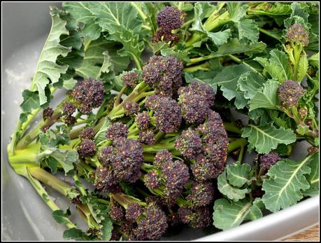 PSB update PSB update