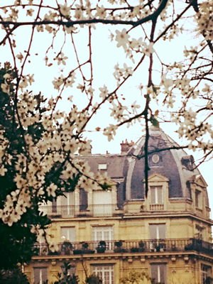 Flowers in Paris