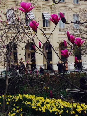 Palais Royal Paris Spring