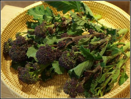 Harvest Monday - 30 March 2015 Harvest Monday - 30 March 2015