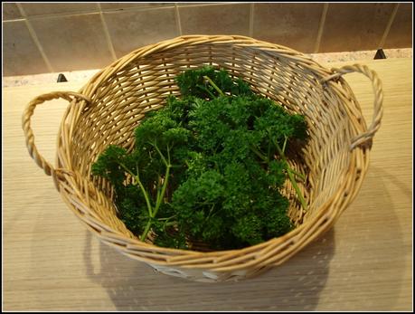 Harvest Monday - 30 March 2015 Harvest Monday - 30 March 2015