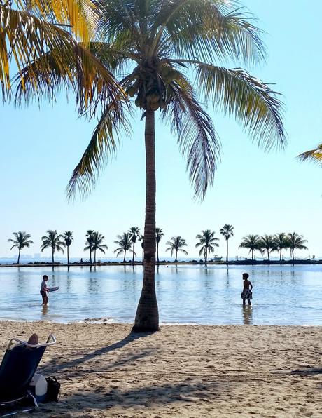 Life Lately Life Lately