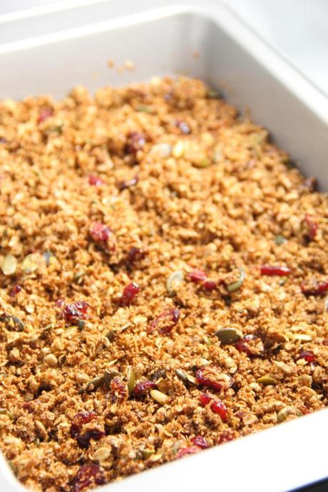 Cranberry Oat Homemade Granola | Vegan, Sugar-free