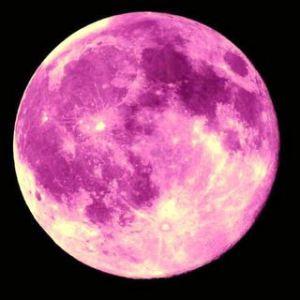 Magical pink moon: a meditation for the full moon en lunar eclipse pinkmoon