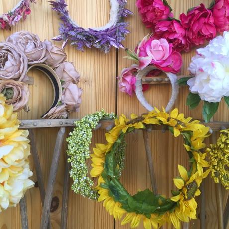 Hello Gratitude! Hello Gratitude!