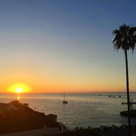 Hello Gratitude! Hello Gratitude!