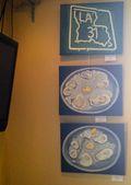 IMG_3673 IMG_3673