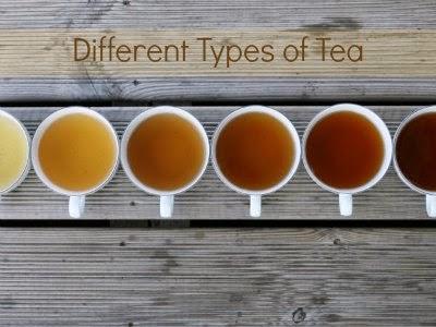 9 Different Tea Types