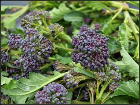 Harvest Monday - 6 April 2015 Harvest Monday - 6 April 2015