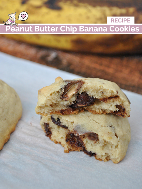 peanut butter banana chocolate chip cookie recipe