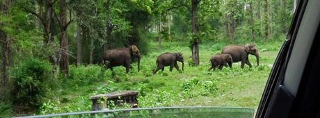 Parambikulam Wildlifew Sanctuary