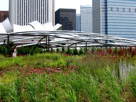 Friday Fotos: Chicago's Millennium Park over the rise rise over