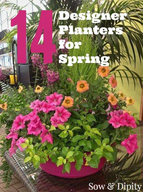 10 Garden Bed Designs 10 Garden Bed Designs